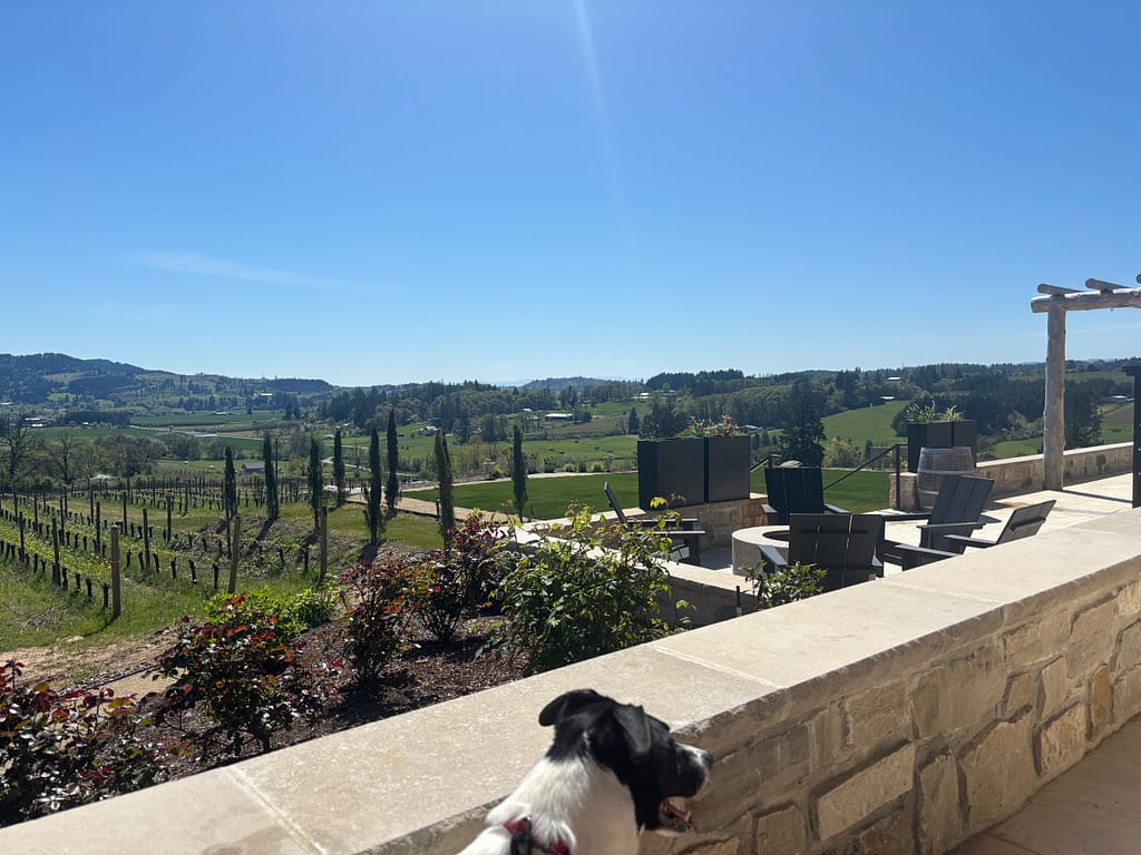 Lambert enjoying the beautiful view at Lachini